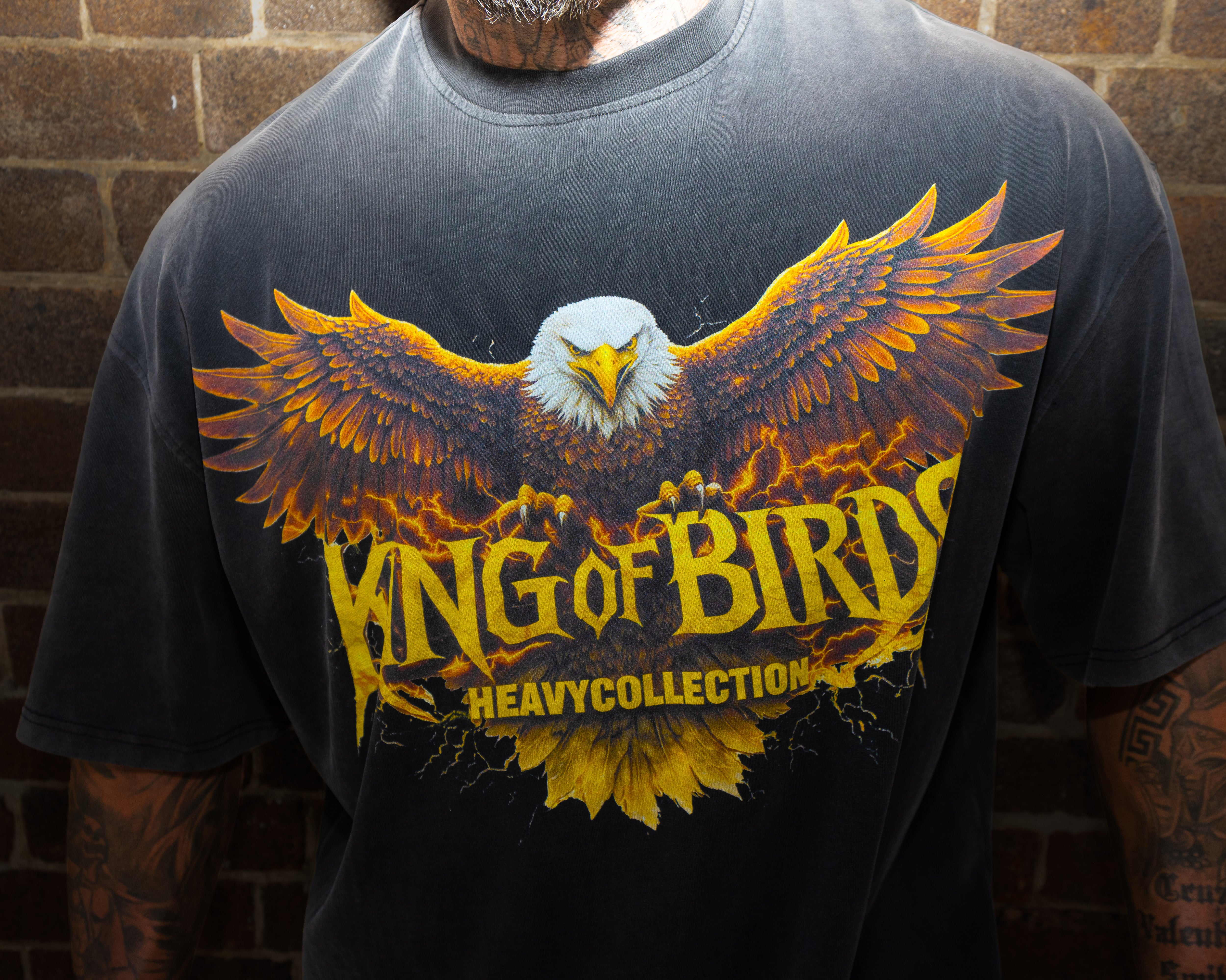 KING OF BIRDS OVERSIZED VINTAGE TEE